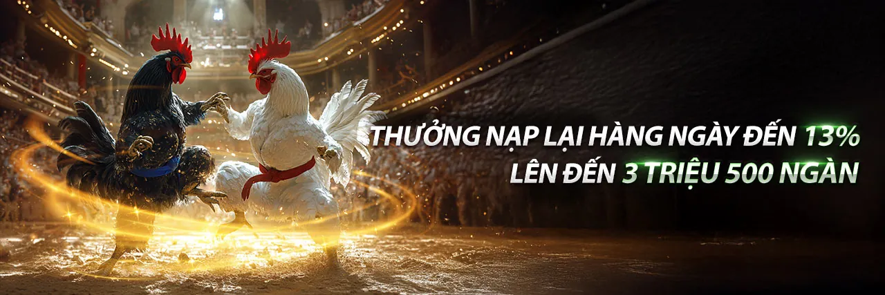 Hình ảnh gà chiến đá gà trực tuyến JUN88V1